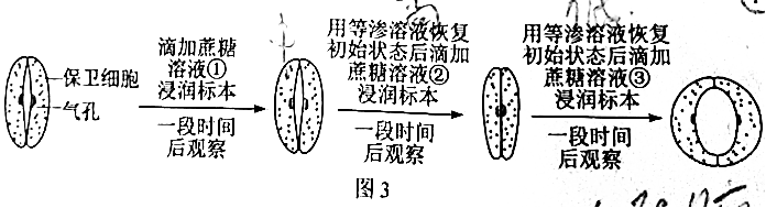 2021年广东高考生物真题