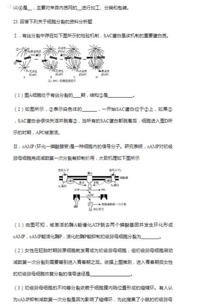 2023北京第四中学高考生物模拟试题及答案