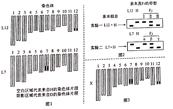 C:\Users\Administrator\AppData\Local\Temp\tianruoocr\截圖_20213609073613.png