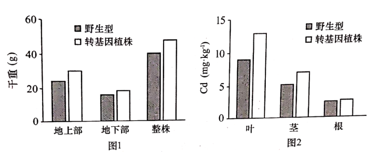 C:\Users\Administrator\AppData\Local\Temp\tianruoocr\截圖_20213709073724.png