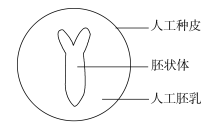 2019重庆高考理综试题及答案【word真题试卷】