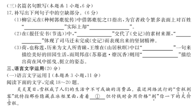 2023湖南师大附中月考语文试题及答案