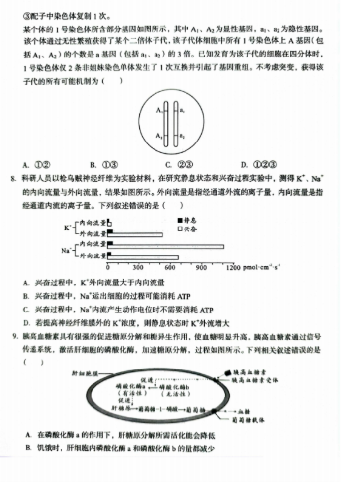 安徽A10联盟2025届高三8月开学摸底考生物试题及答案