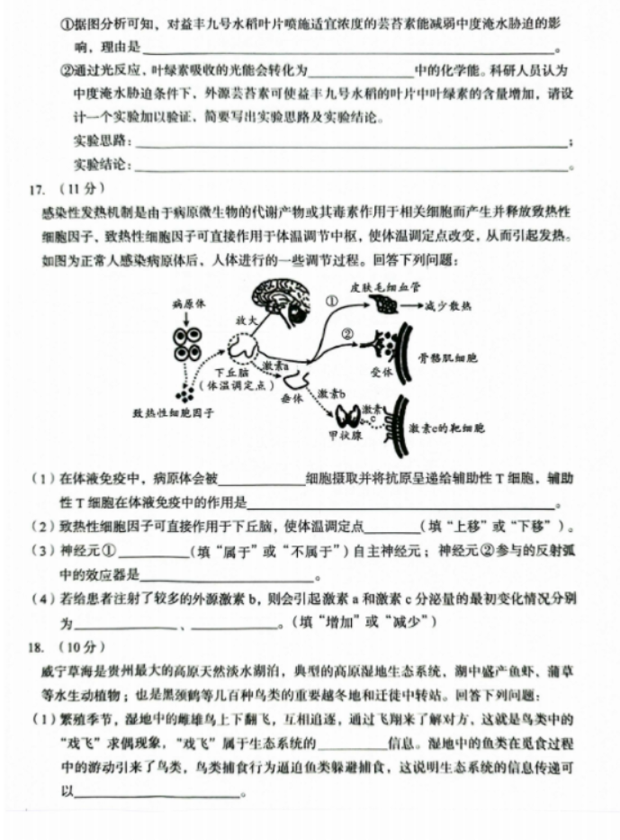 安徽A10联盟2025届高三8月开学摸底考生物试题及答案