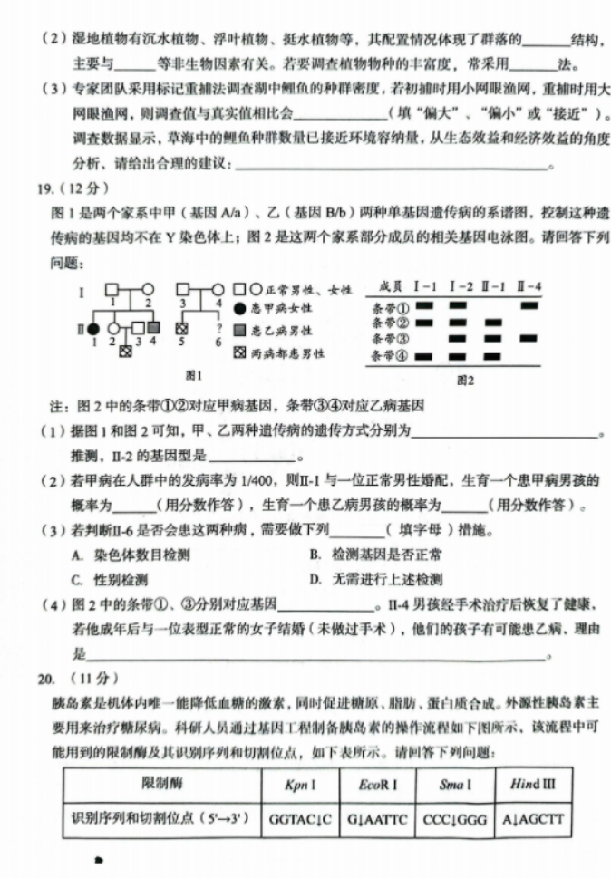 安徽A10联盟2025届高三8月开学摸底考生物试题及答案