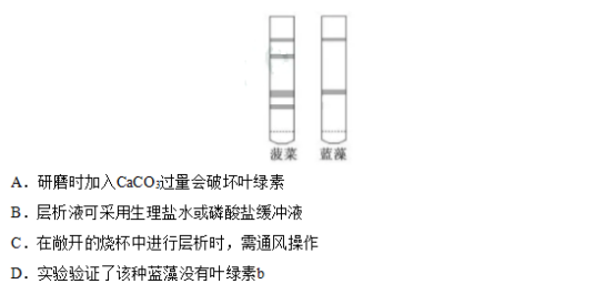 2019江苏高考生物试题（word精校版）