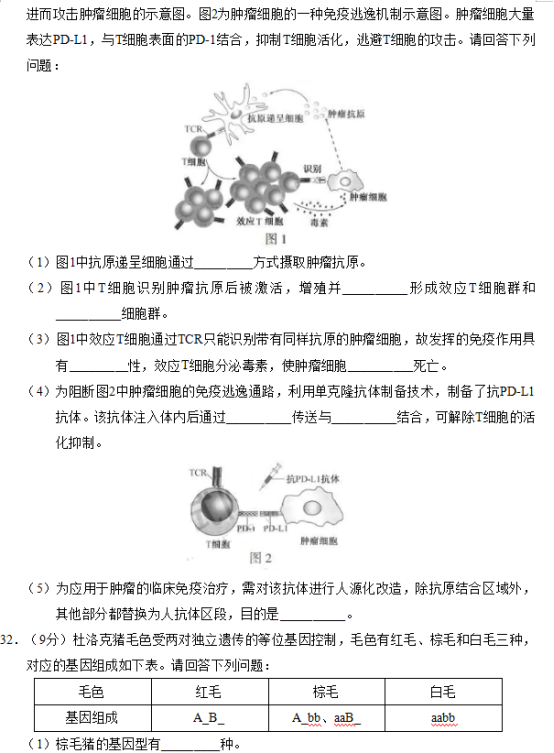 2019江苏高考生物试题及答案【word真题试卷】