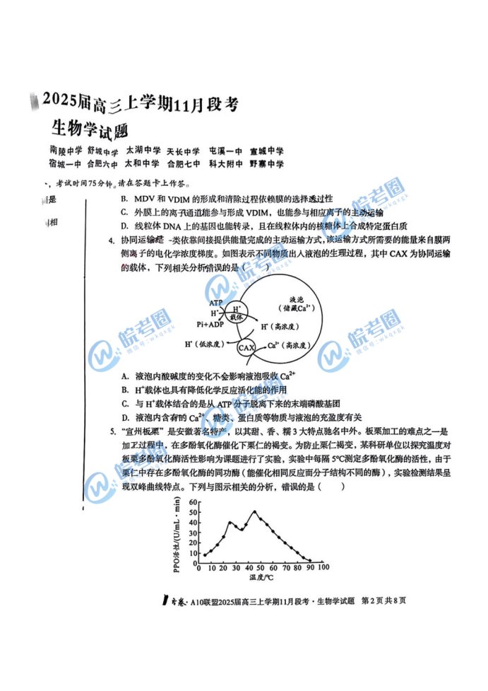 安徽A10联盟2025届高三11月联考生物试题及答案