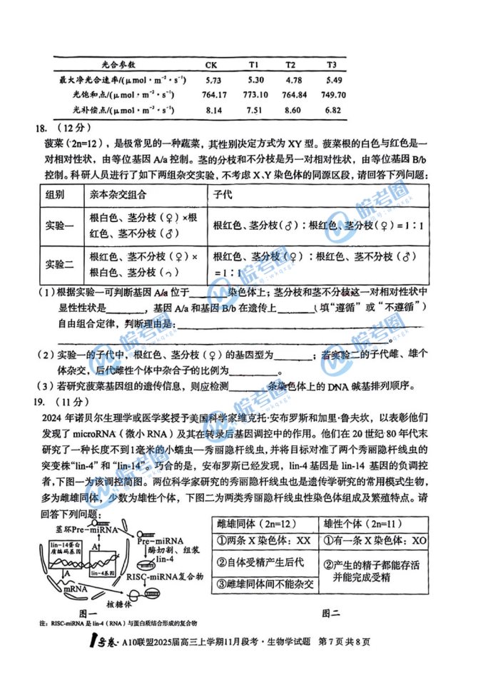 安徽A10联盟2025届高三11月联考生物试题及答案