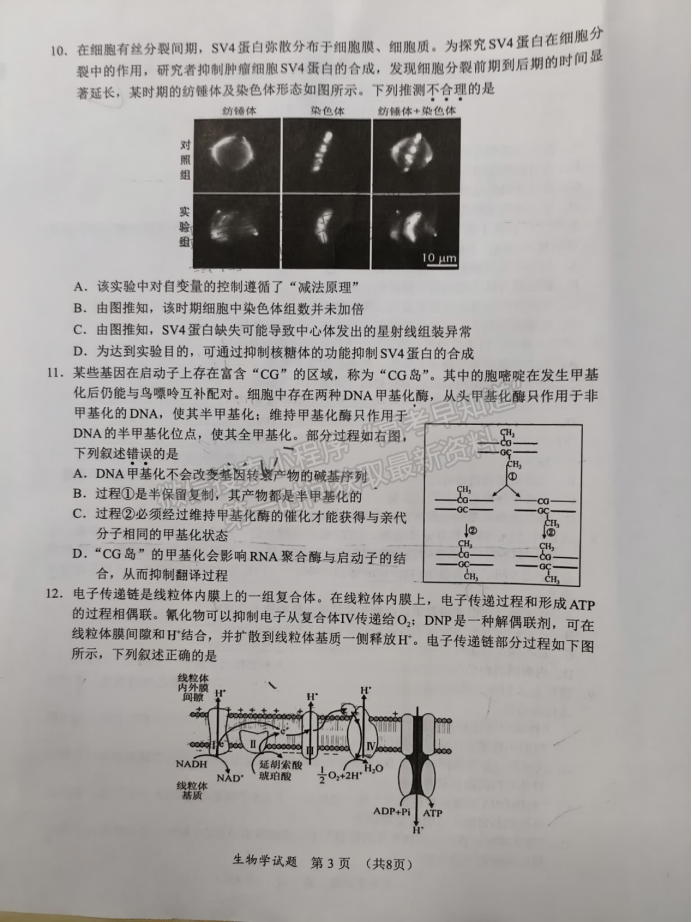 福建11月名校联盟2025届高三半期生物试题及答案