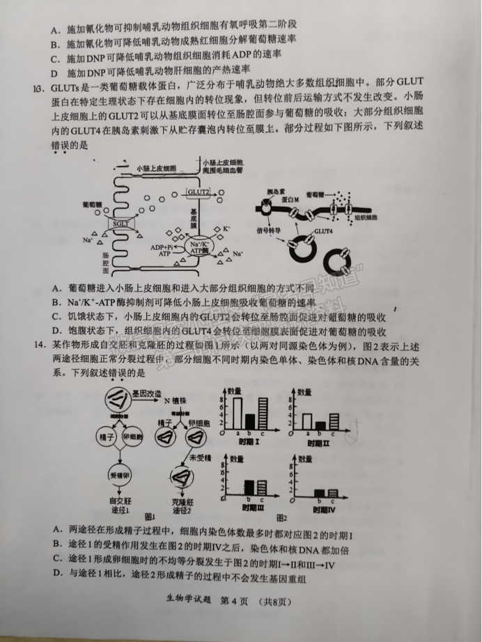 福建11月名校联盟2025届高三半期生物试题及答案