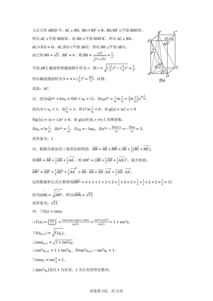 黑吉辽蒙2025届高三第一次质量检测数学试题及答案