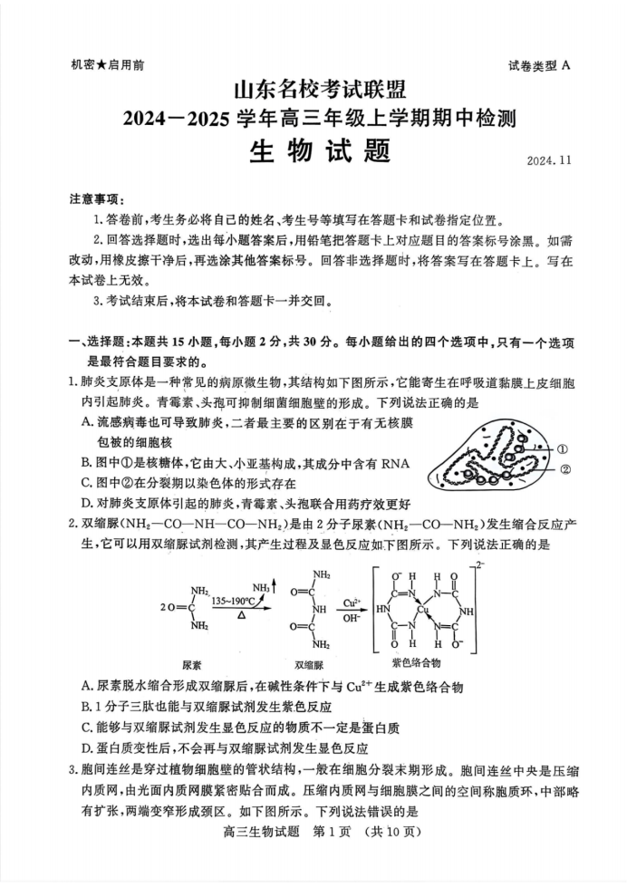 山东名校考试联盟2025届高三期中检测生物试题及答案