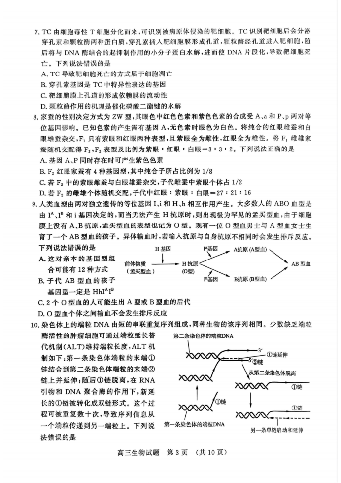 山东名校考试联盟2025届高三期中检测生物试题及答案