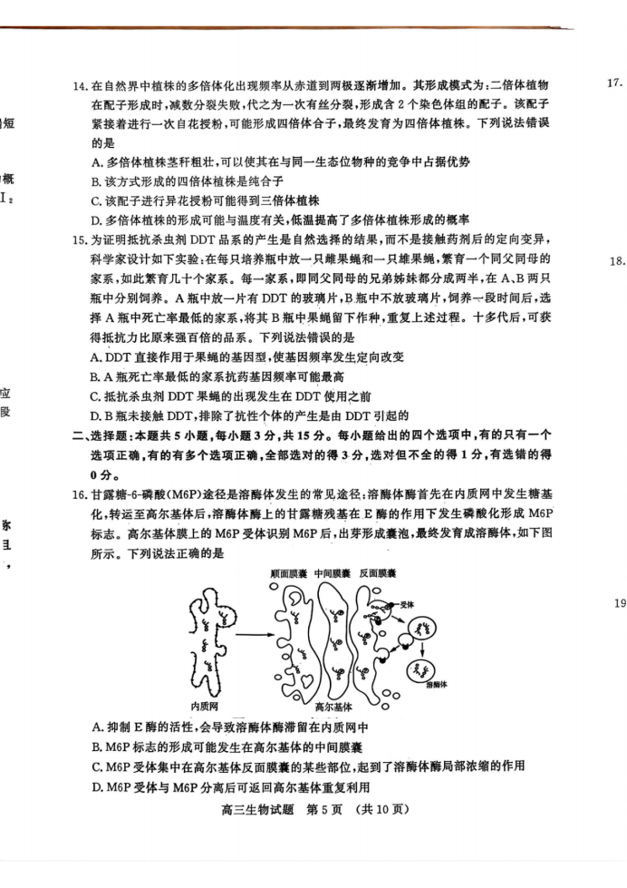 山东名校考试联盟2025届高三期中检测生物试题及答案