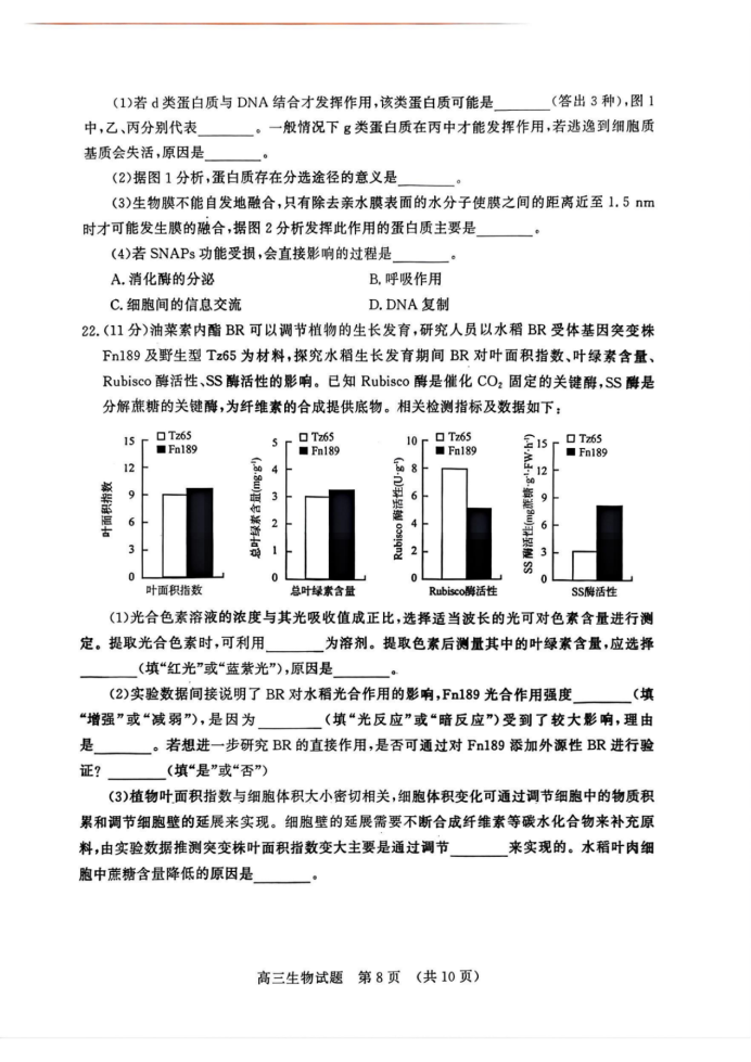 山东名校考试联盟2025届高三期中检测生物试题及答案