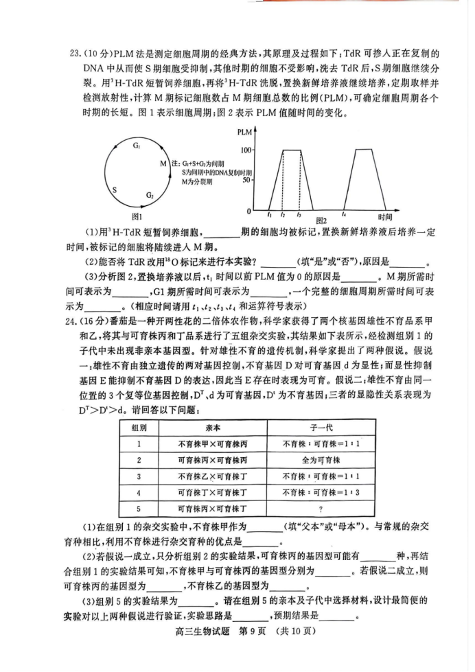 山东名校考试联盟2025届高三期中检测生物试题及答案