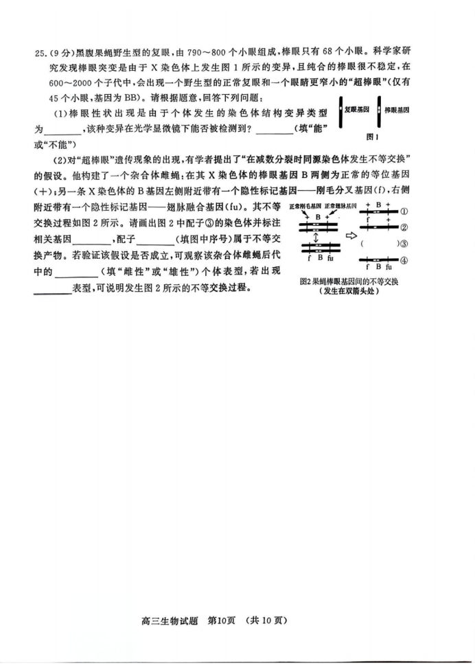 山东名校考试联盟2025届高三期中检测生物试题及答案