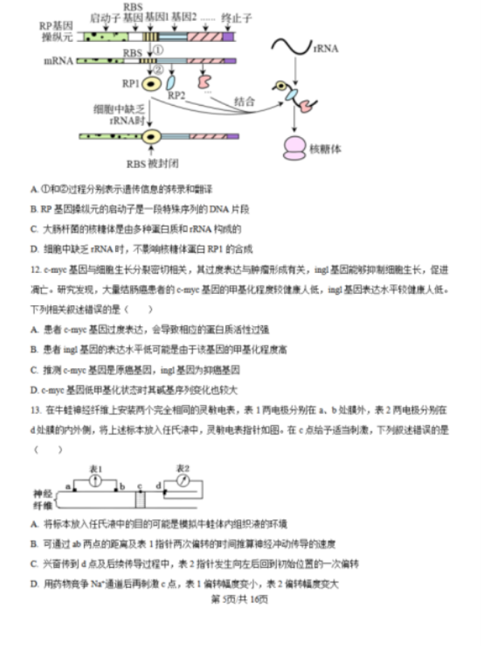 黑吉辽蒙2025届高三第一次质量检测生物试题及答案