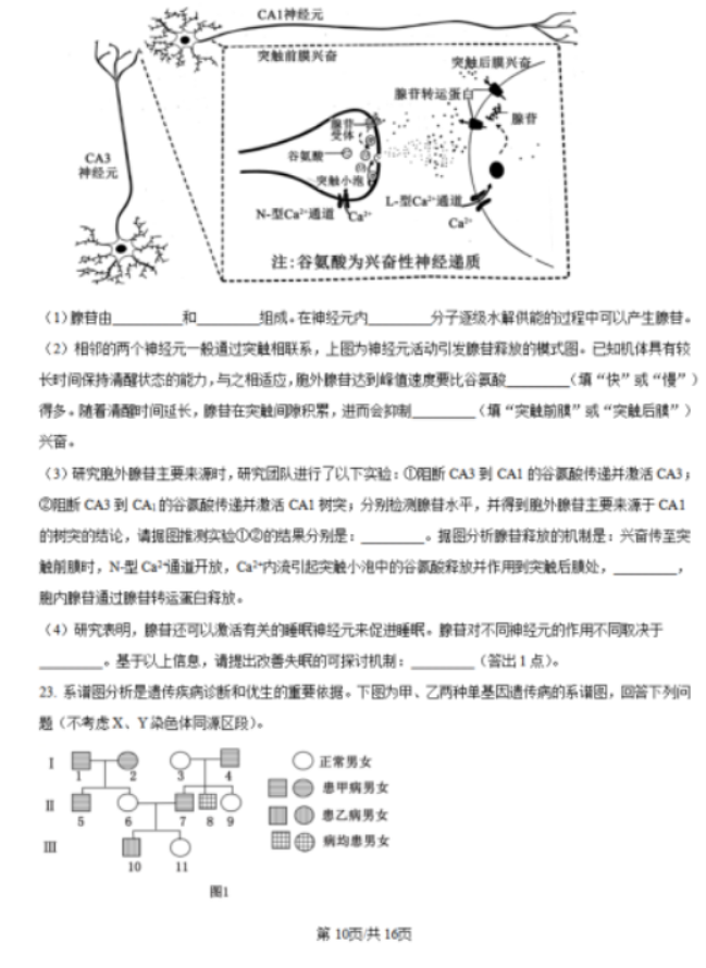 黑吉辽蒙2025届高三第一次质量检测生物试题及答案