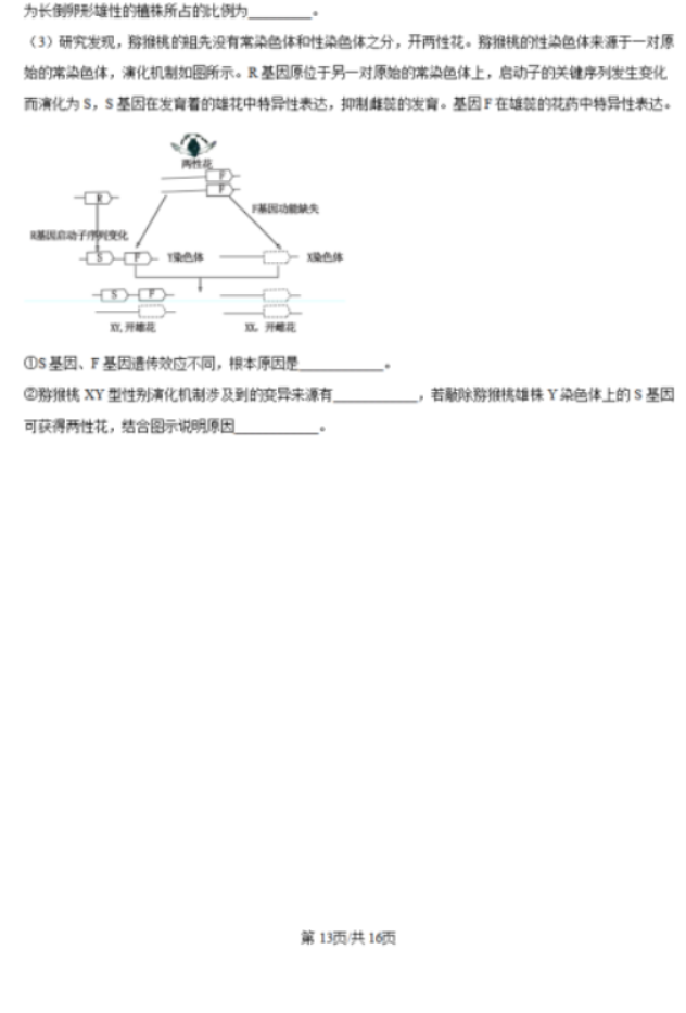 黑吉辽蒙2025届高三第一次质量检测生物试题及答案