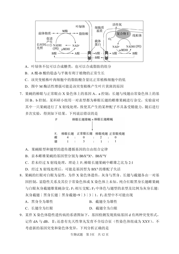 山东省实验中学2025届高三第二次诊断考试生物试题及答案