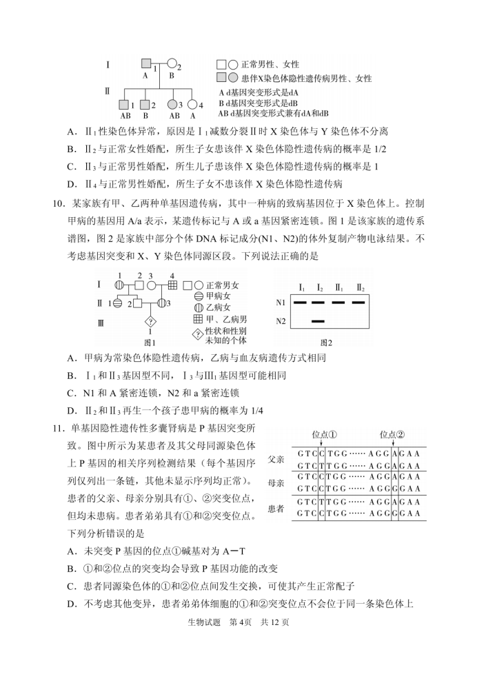 山东省实验中学2025届高三第二次诊断考试生物试题及答案