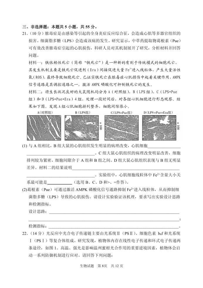 山东省实验中学2025届高三第二次诊断考试生物试题及答案