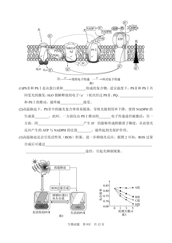 山东省实验中学2025届高三第二次诊断考试生物试题及答案