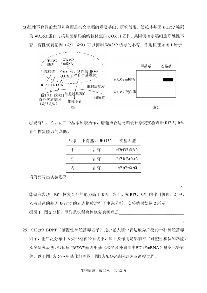 山东省实验中学2025届高三第二次诊断考试生物试题及答案