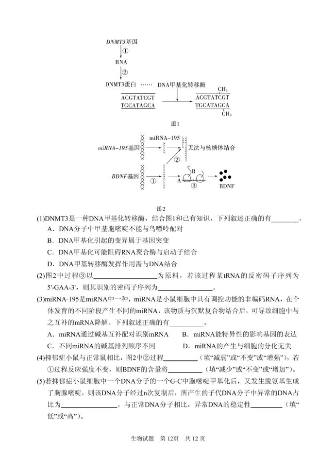 山东省实验中学2025届高三第二次诊断考试生物试题及答案