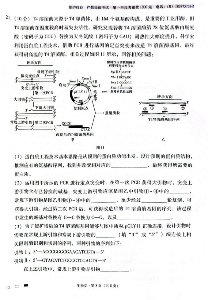 云南师范大学附属中学2025届高三月考卷生物试题及答案