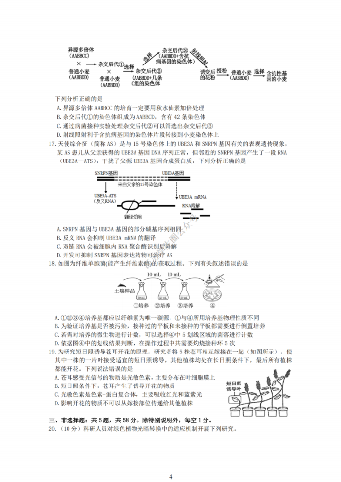 2025届江苏金太阳12月百校联考生物试题及答案参考