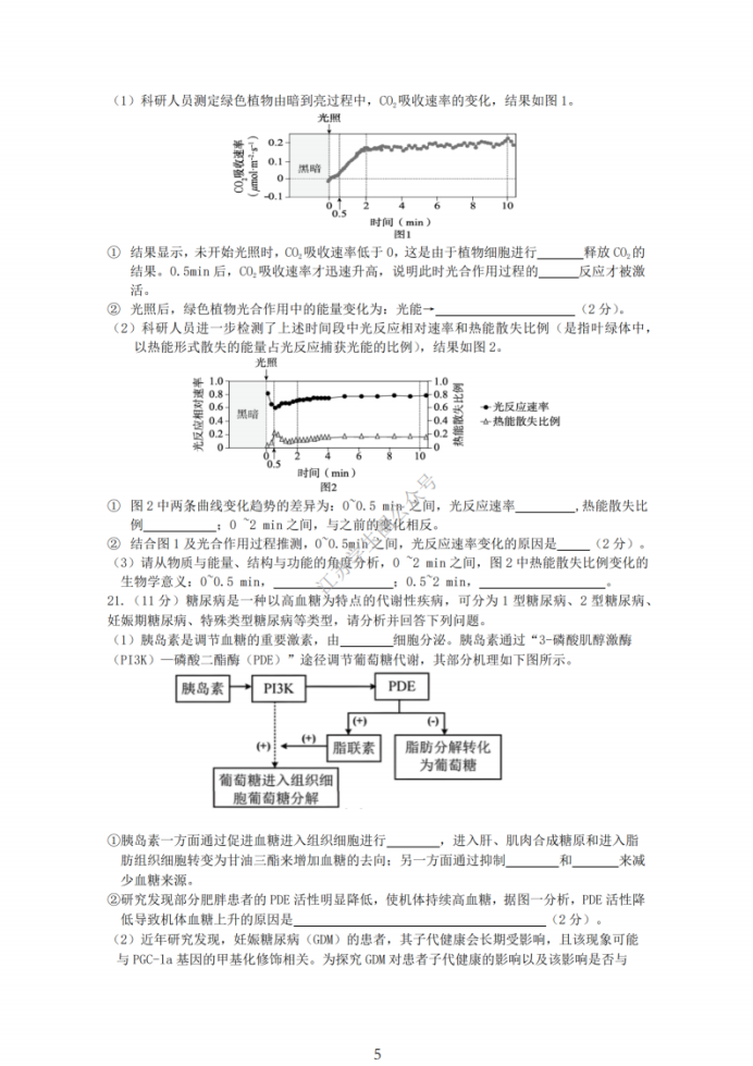 2025届江苏金太阳12月百校联考生物试题及答案参考