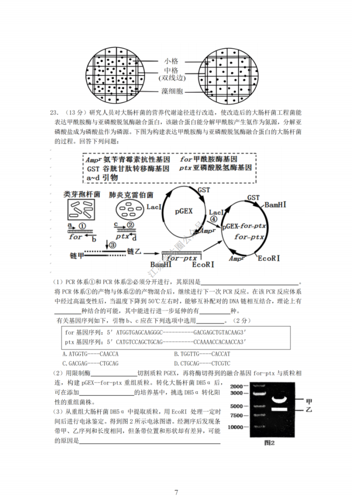 2025届江苏金太阳12月百校联考生物试题及答案参考