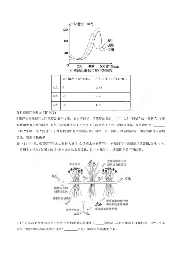 2025甘肃高三高考一诊生物试题及答案参考