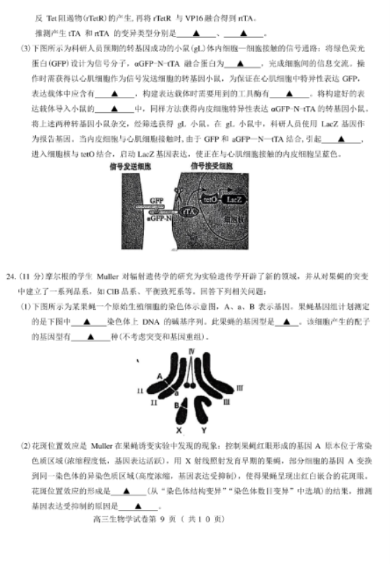 江苏2025高三南京盐城期末(一模)考试生物试题及答案