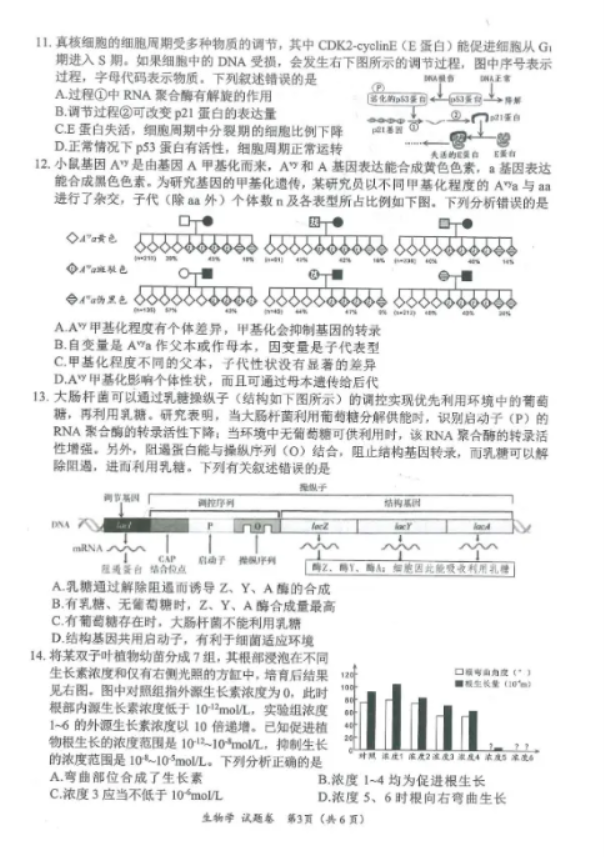 2025四川绵阳二诊生物试题及答案参考