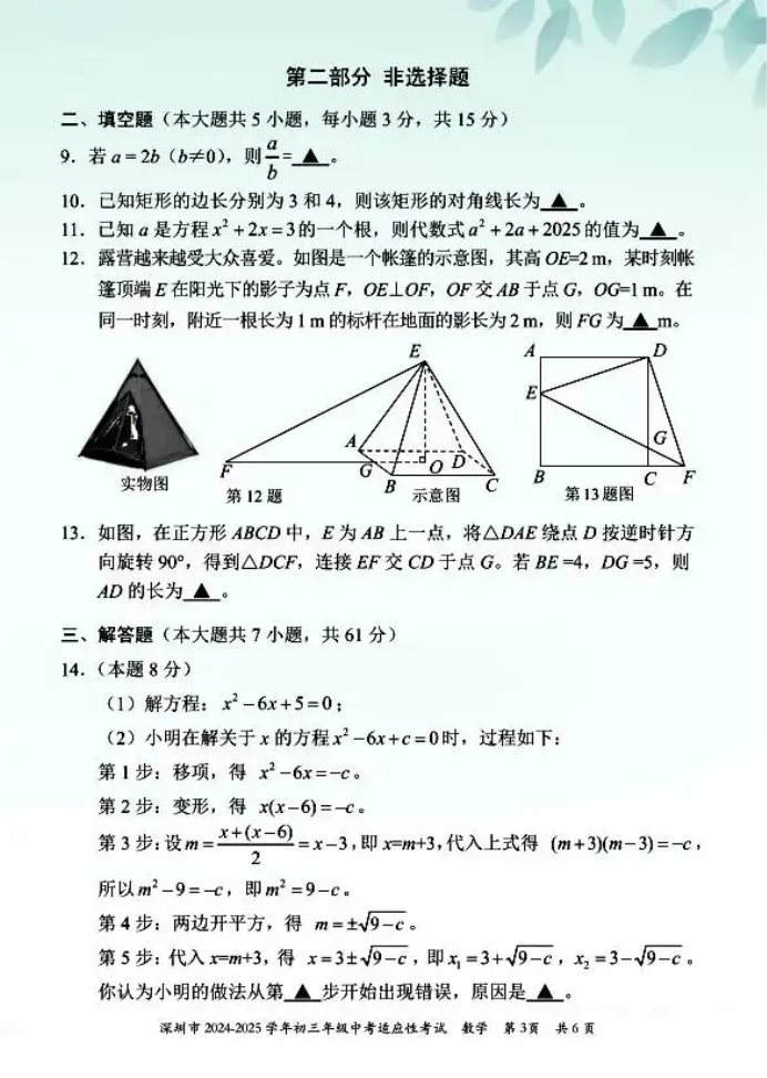 2024-2025学年深圳初三中考适应性考试数学试卷及答案