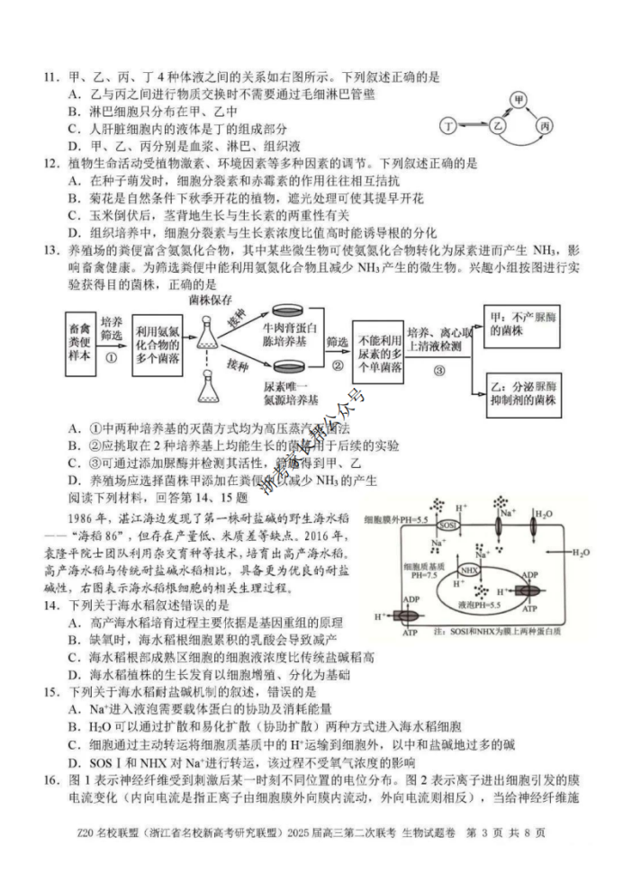 2025年浙江省Z20名校联盟高三2月联考生物试题及答案