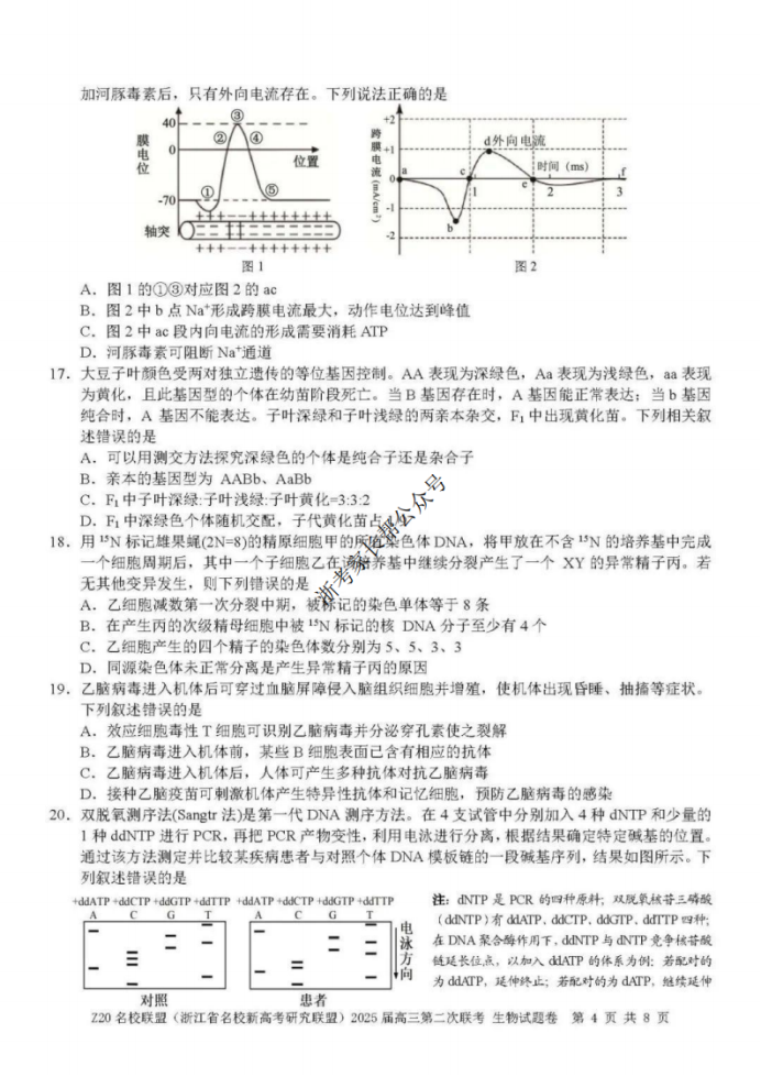 2025年浙江省Z20名校联盟高三2月联考生物试题及答案