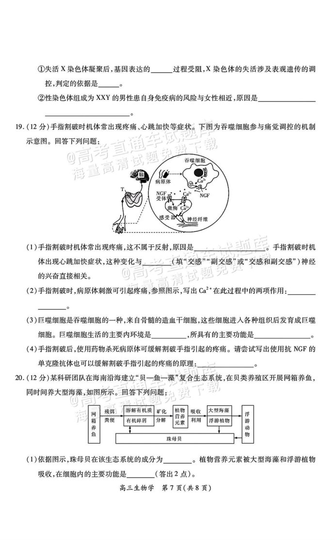 江西上进联考2025届高三2月统一调研测试生物试卷及答案