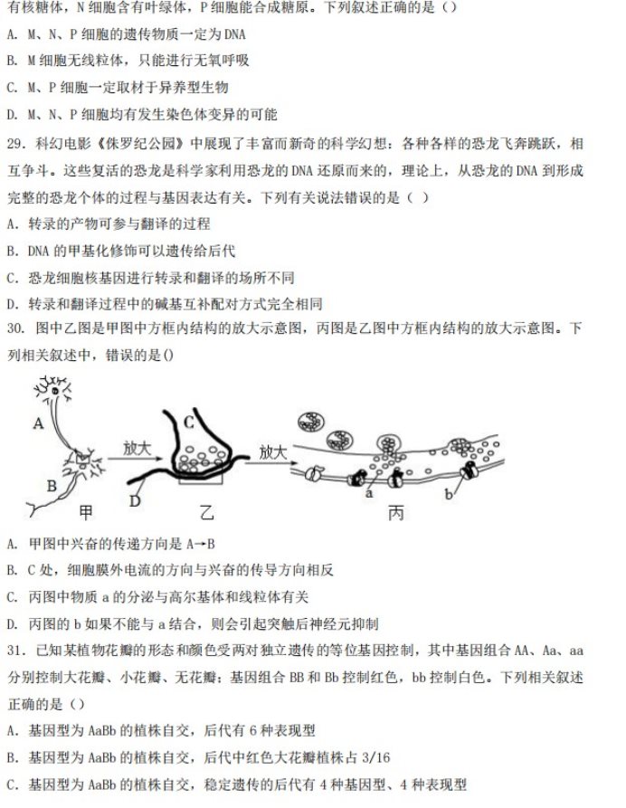 新疆疏勒县八一中学2023学年高考仿真卷生物试卷