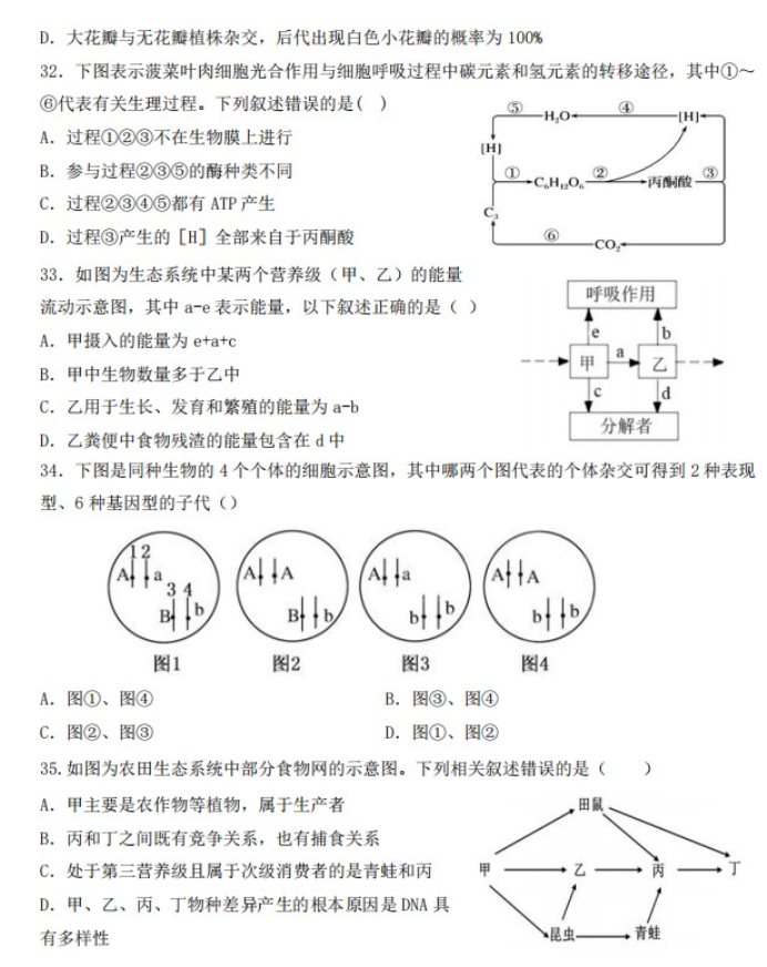 新疆疏勒县八一中学2023学年高考仿真卷生物试卷