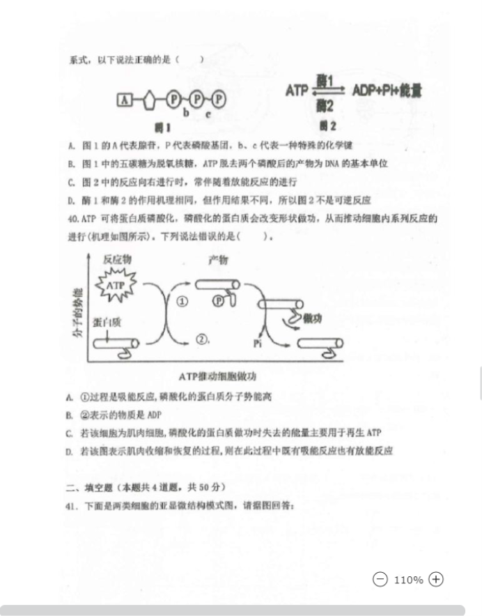 2023黑龙江生物高考模拟试题