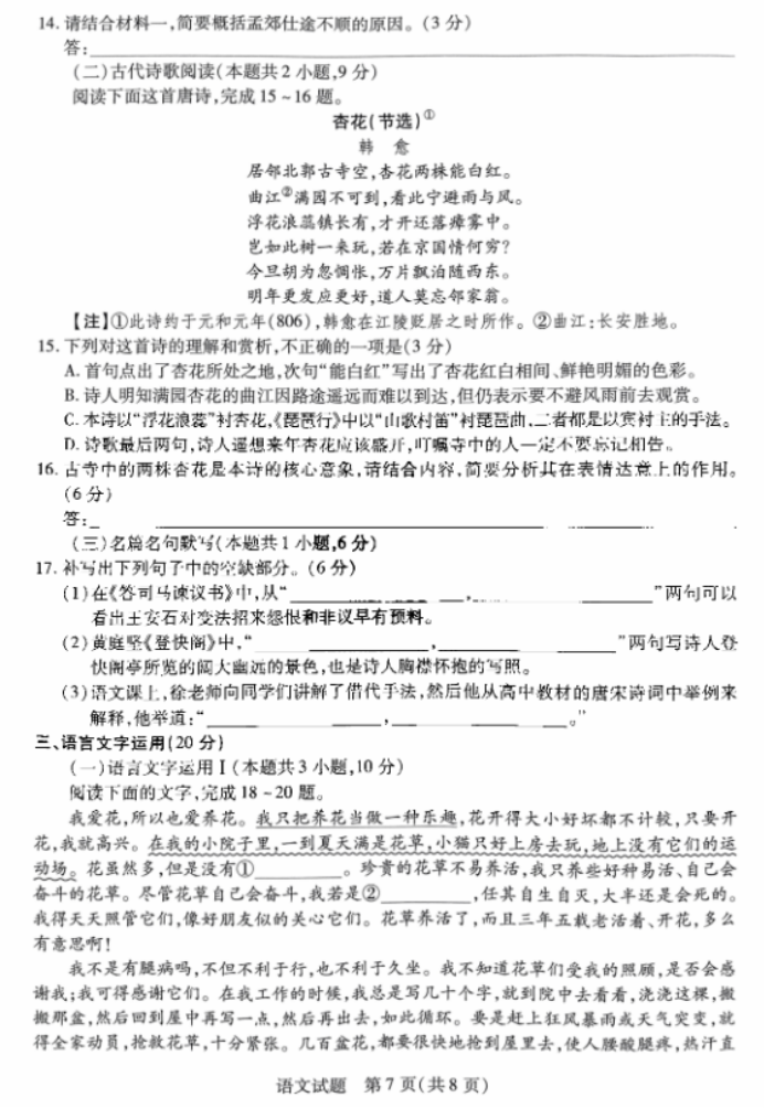 2024天一大联考高三阶段性测试语文试题及答案解析