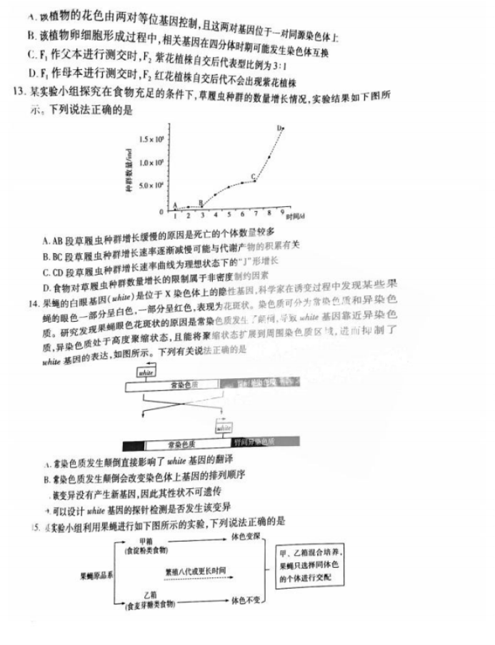 2024天一大联考高三阶段性测试生物试题及答案解析