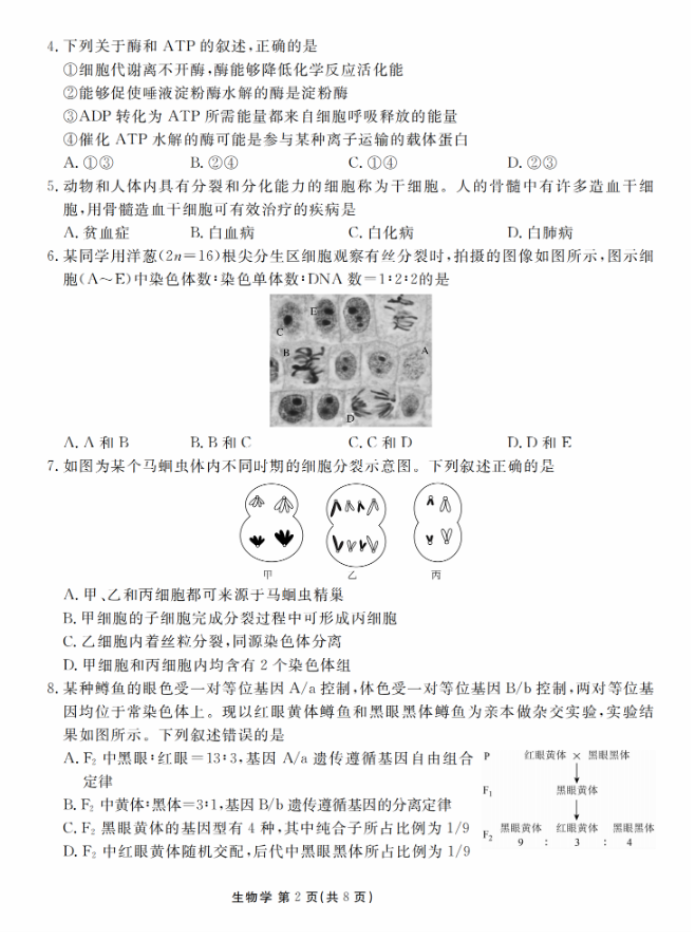 衡水金卷2024新高三摸底联考生物试题及答案解析