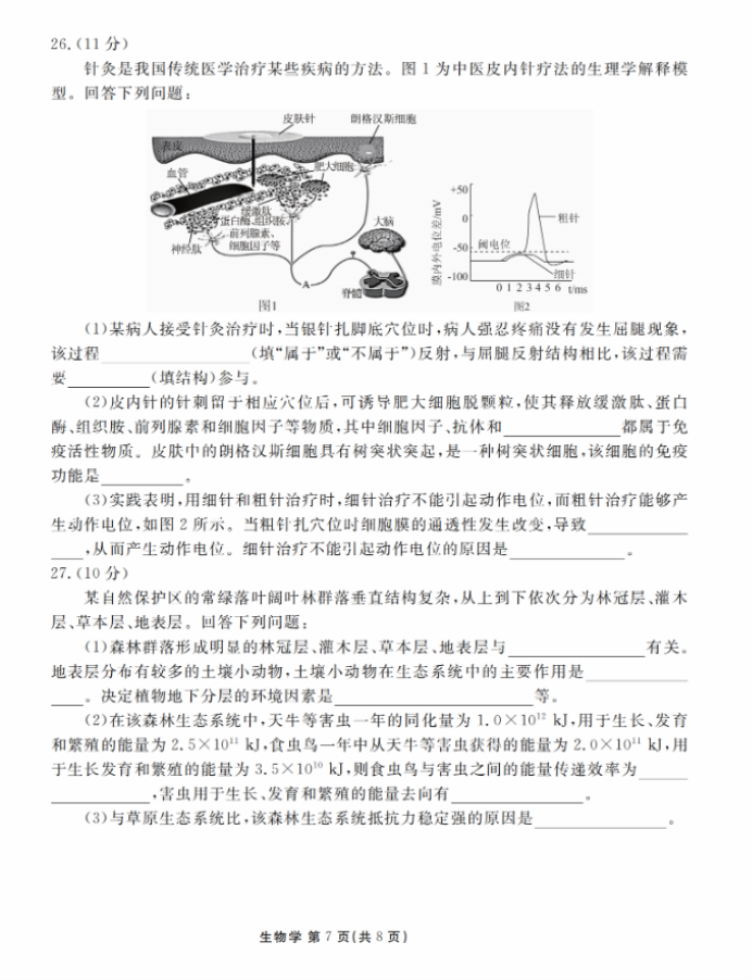 衡水金卷2024新高三摸底联考生物试题及答案解析