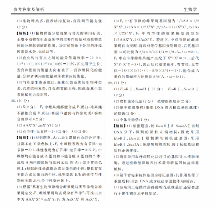 衡水金卷2024新高三摸底联考生物试题及答案解析